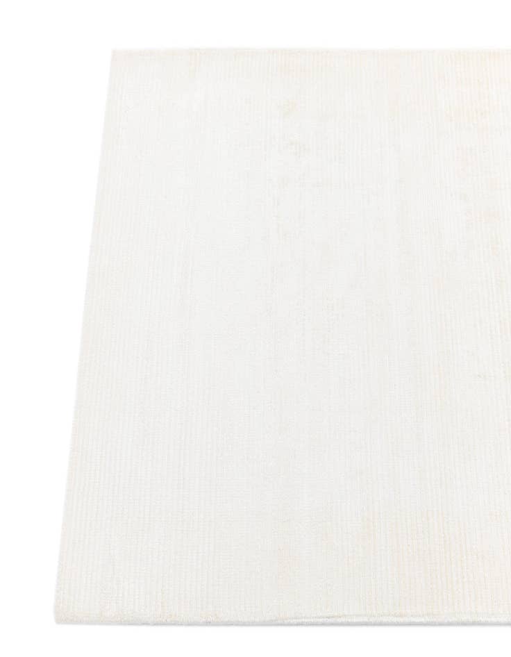 Detail image of  2' 8 x 12' 11 Darya Runner Rug