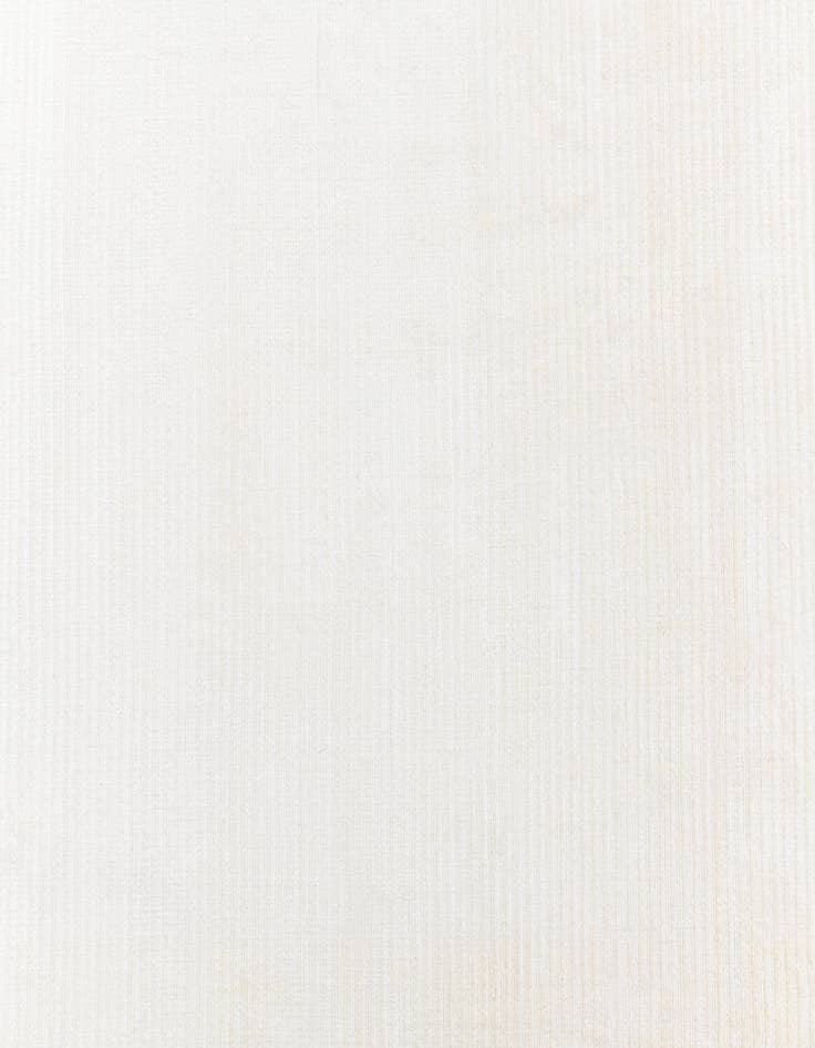 Detail image of  2' 8 x 12' 11 Darya Runner Rug