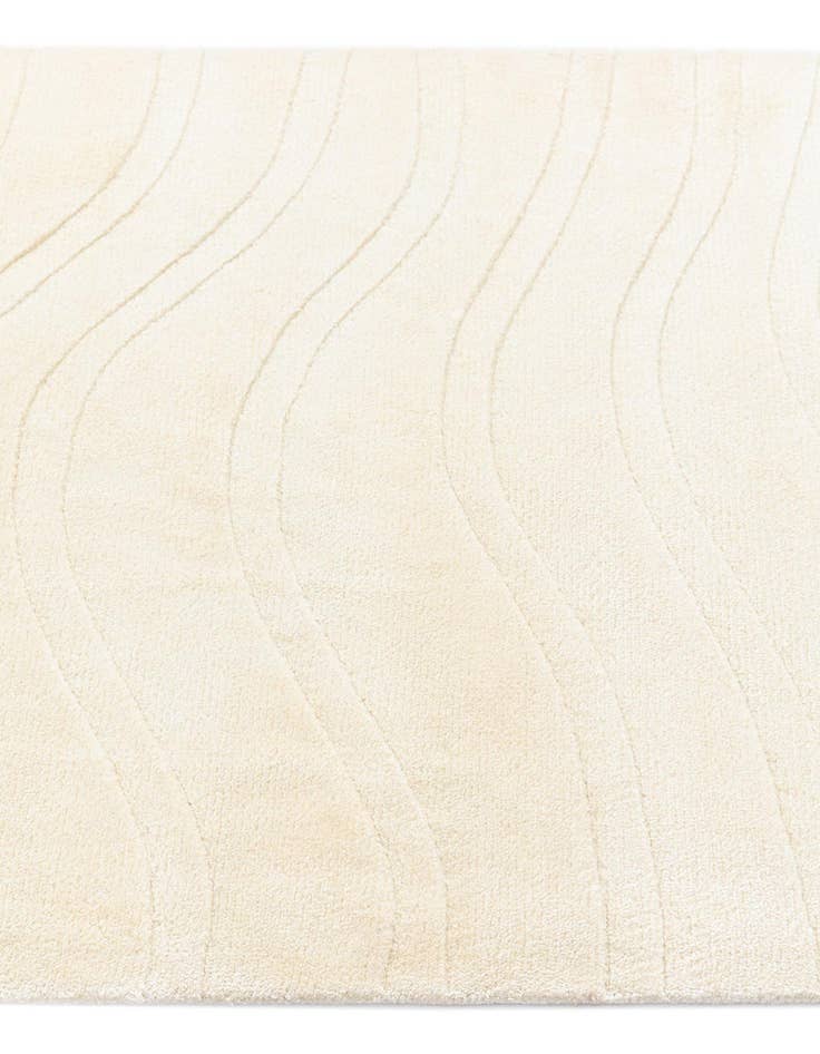 Detail image of  2' 9 x 13' Darya Runner Rug