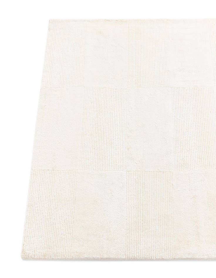 Detail image of  2' 7 x 12' 11 Darya Runner Rug