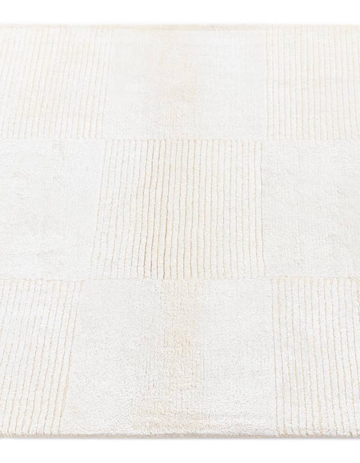 Detail image of  2' 7 x 12' 11 Darya Runner Rug