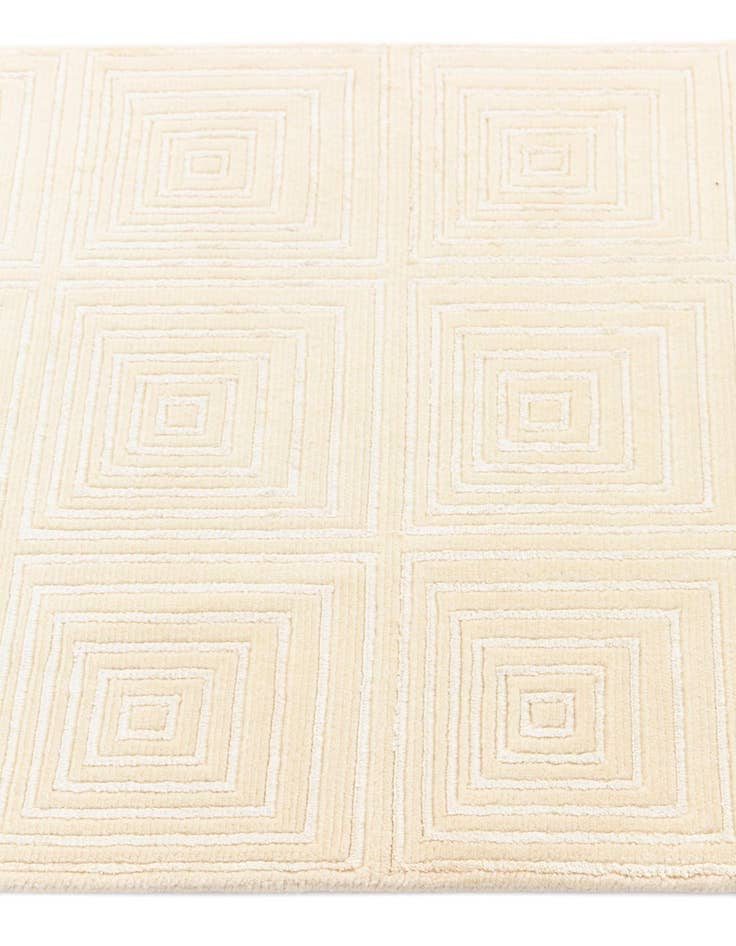 Detail image of  2' 7 x 13' 3 Darya Runner Rug