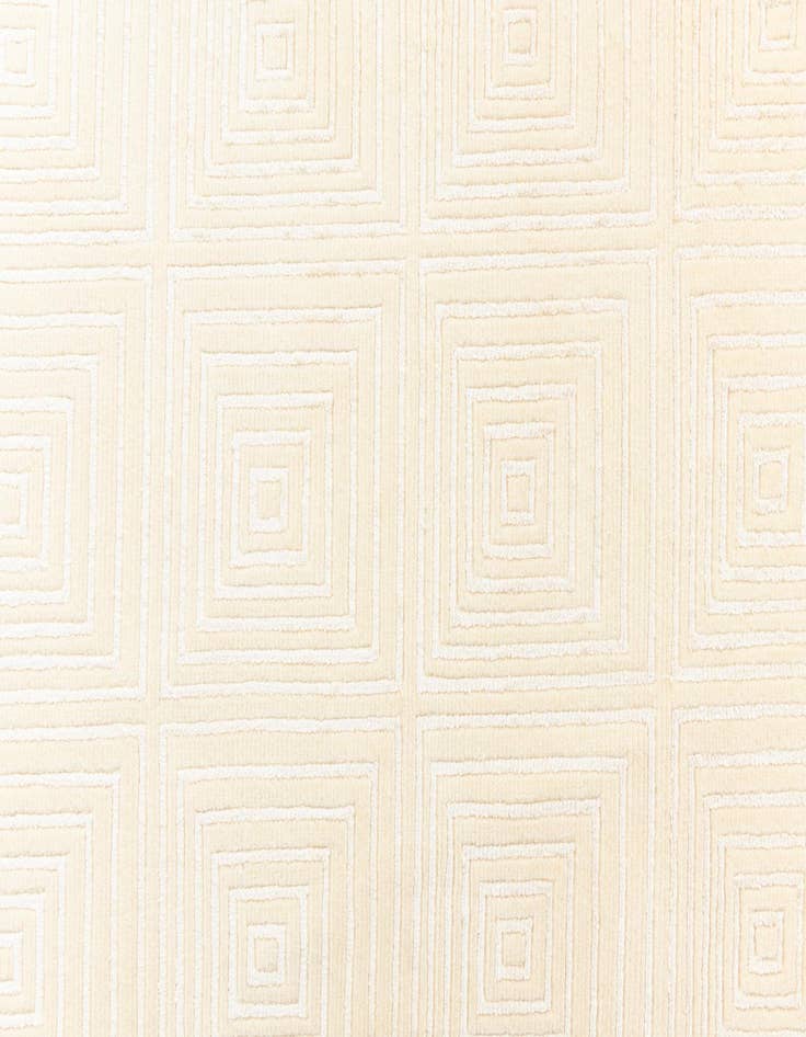 Detail image of  2' 7 x 13' 3 Darya Runner Rug