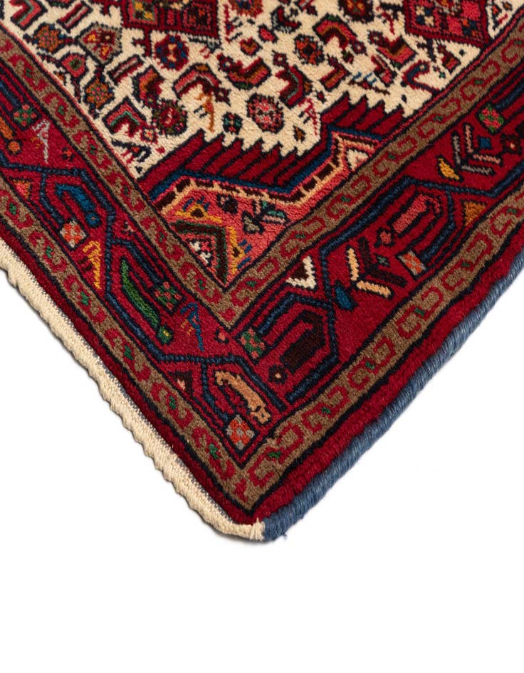 Detail image of  2' 7 x 11' 7 Hamedan Wool Runner Rug