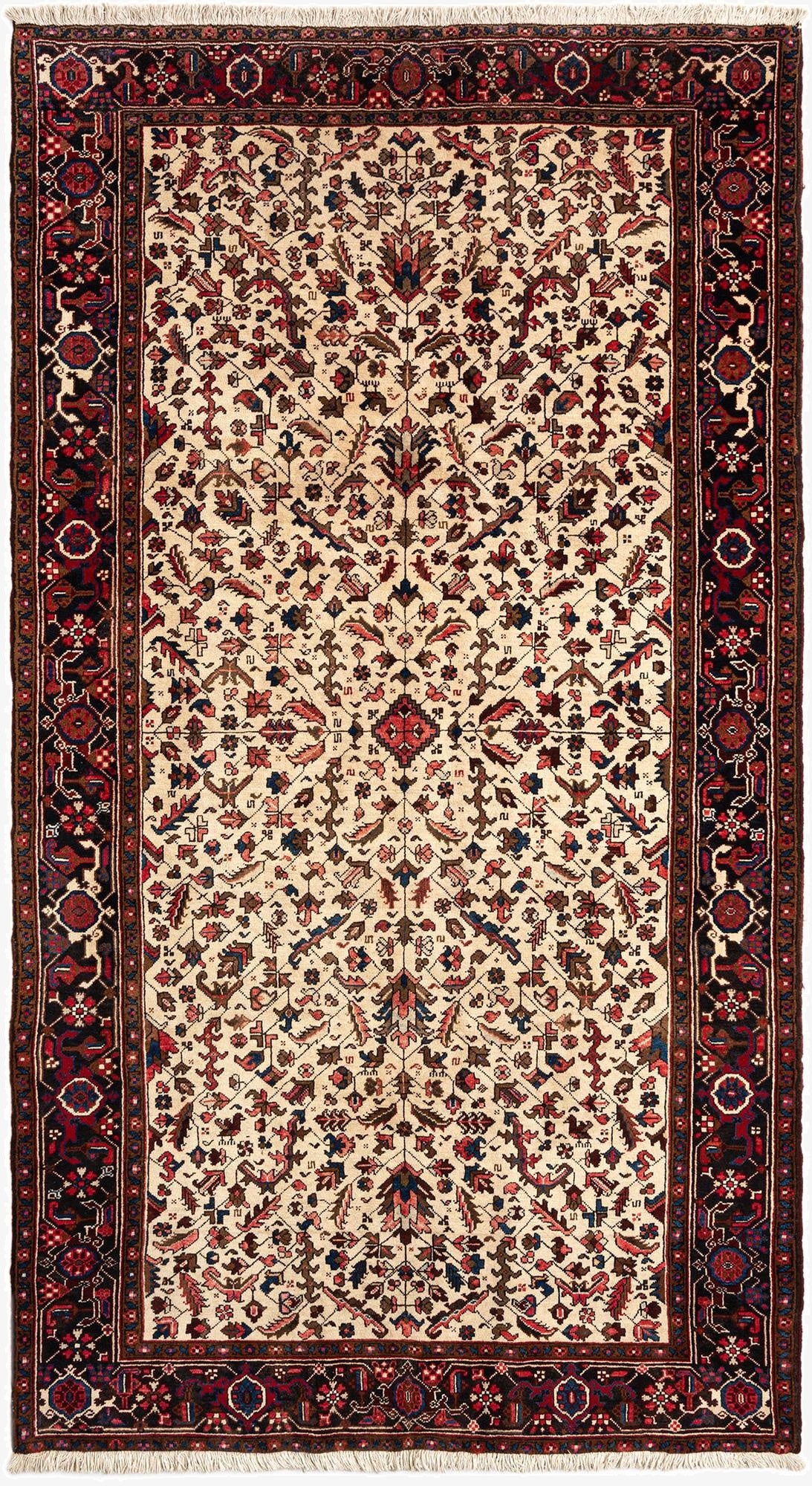  5' 10 x 10' 9 Mehraban Wool Runner Rug