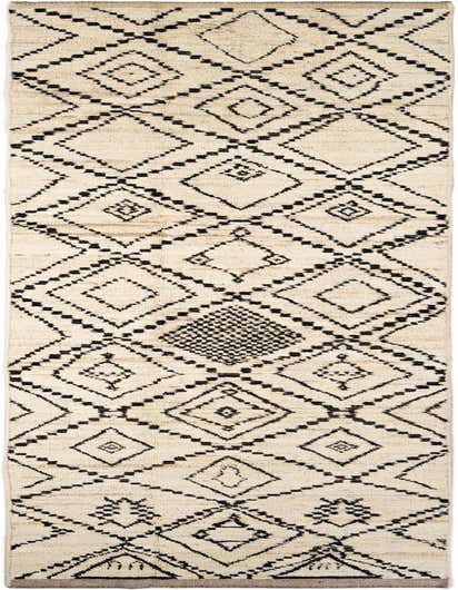 A 16 ft runner rug from the Rugs.com Moroccan Collection, featuring a tribal geometric pattern in ivory and black, perfect for a hallway.
