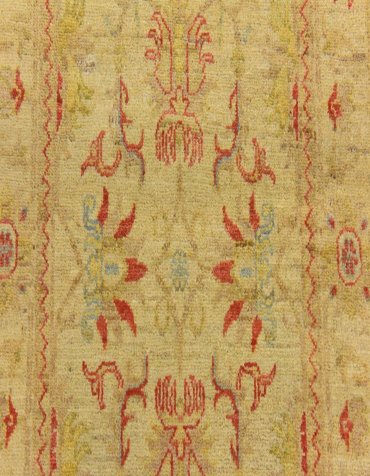 Detail image of  2' 7 x 10' 4  Hand Knotted Peshawar Ziegler Runner Rug