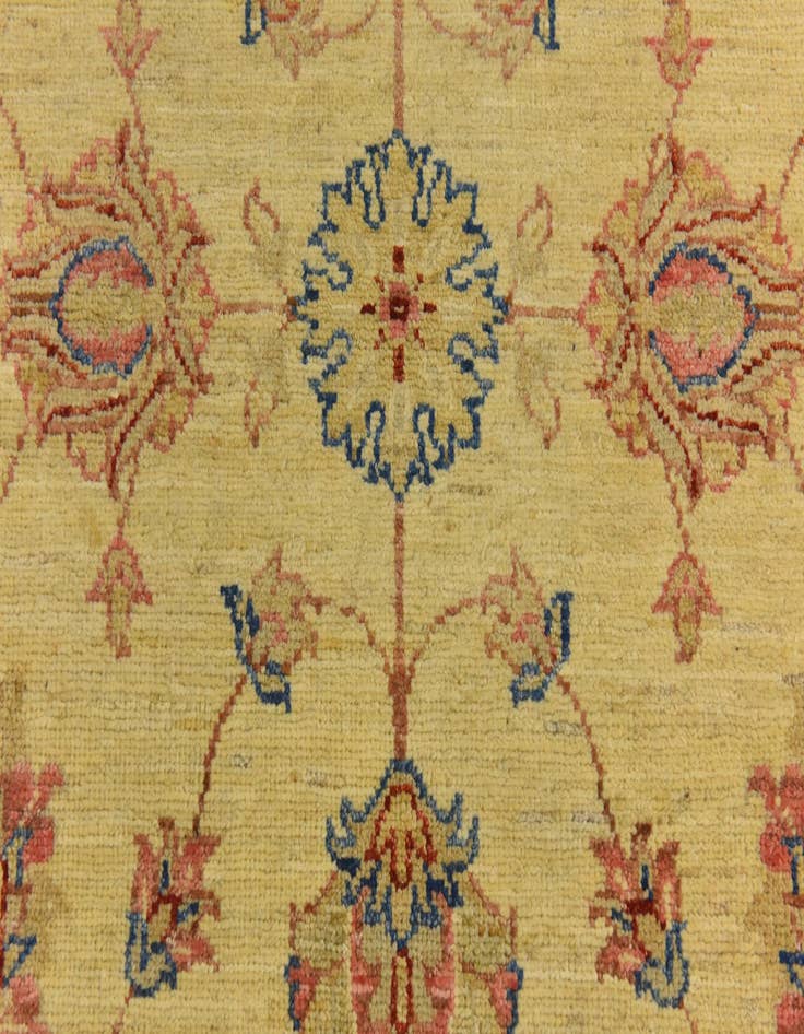 Detail image of  2' 8 x 9' 8  Hand Knotted Peshawar Ziegler Runner Rug