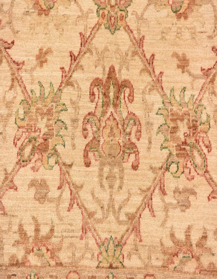 Detail image of  5' x 9' 6  Hand Knotted Peshawar Ziegler Runner Rug