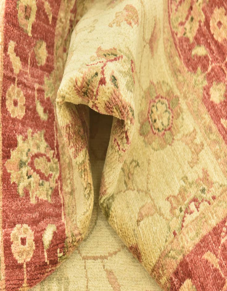 Detail image of  2' 9 x 10'  Hand Knotted Peshawar Ziegler Runner Rug