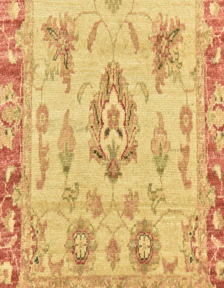 Detail image of  2' 9 x 10'  Hand Knotted Peshawar Ziegler Runner Rug