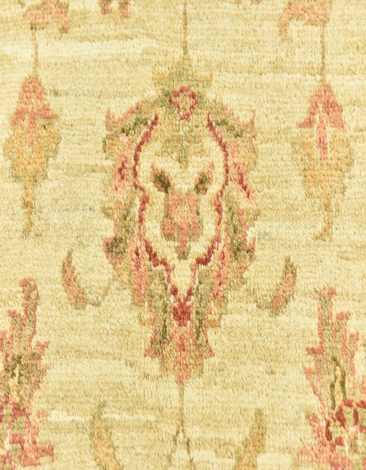 Detail image of  2' 10 x 9' 9  Hand Knotted Peshawar Ziegler Runner Rug