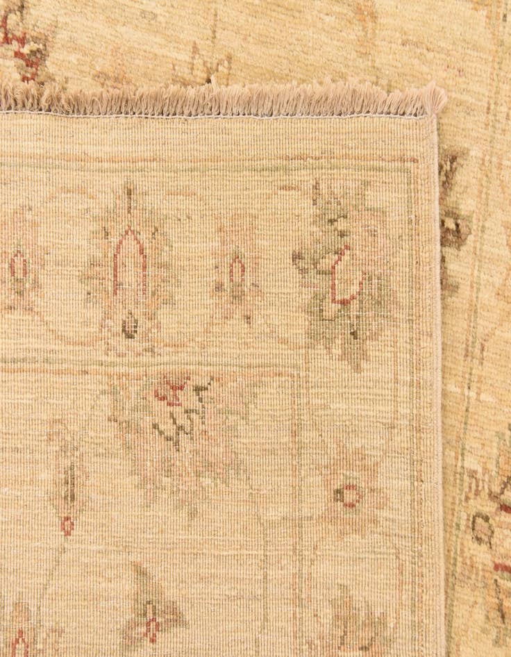Detail image of  2' 8 x 9' 9  Hand Knotted Peshawar Ziegler Runner Rug