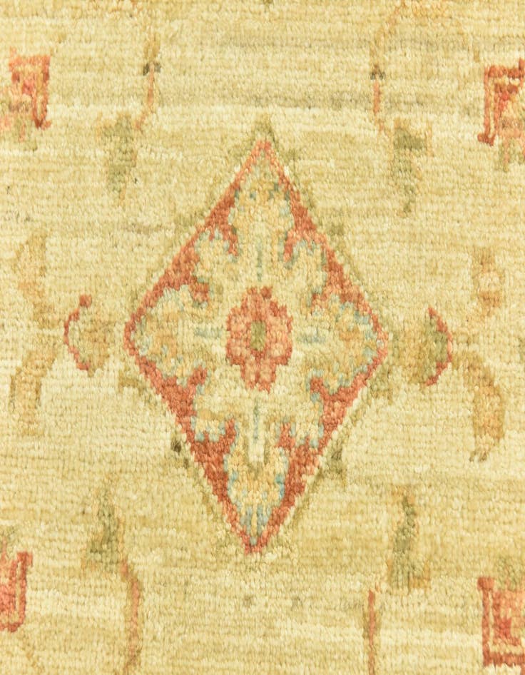 Detail image of  2' 6 x 6' 9  Hand Knotted Peshawar Ziegler Runner Rug