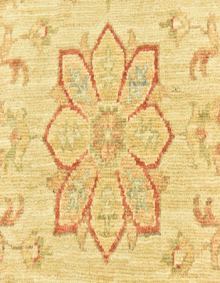 Detail image of  2' 6 x 6' 5  Hand Knotted Peshawar Ziegler Runner Rug