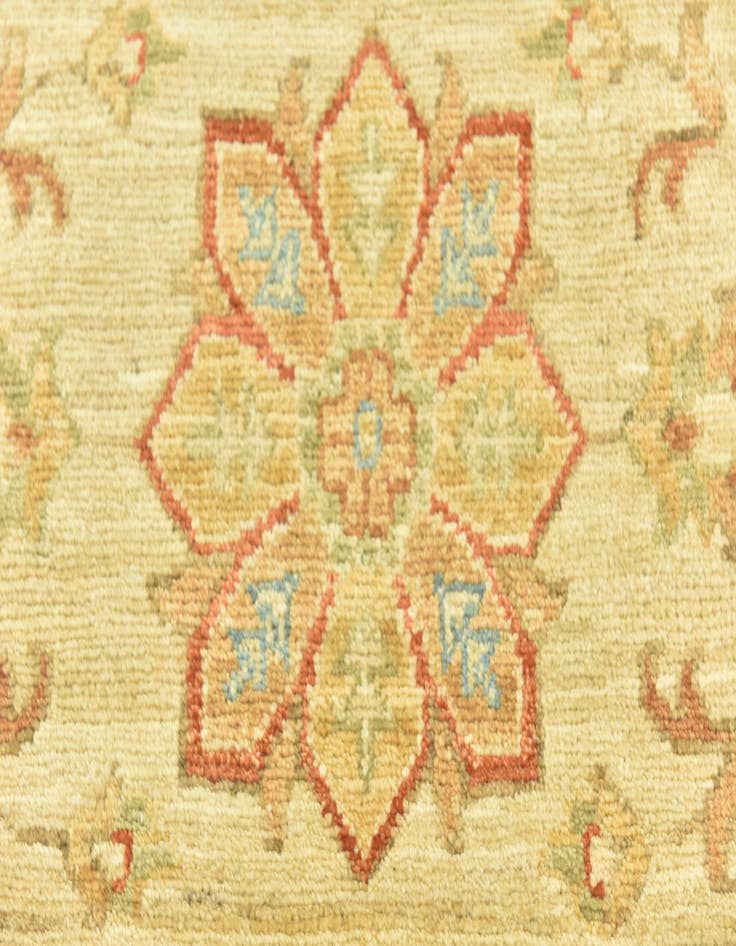 Detail image of  2' 6 x 6' 8  Hand Knotted Peshawar Ziegler Runner Rug