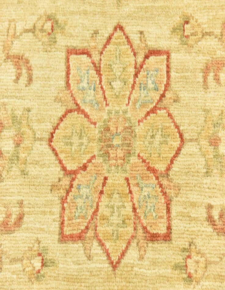 Detail image of  2' 6 x 6' 5  Hand Knotted Peshawar Ziegler Runner Rug