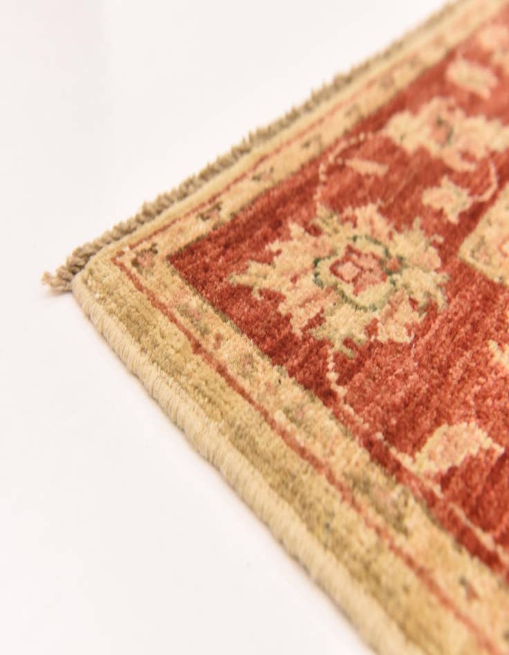 Detail image of  2' 7 x 9' 7  Hand Knotted Peshawar Ziegler Runner Rug