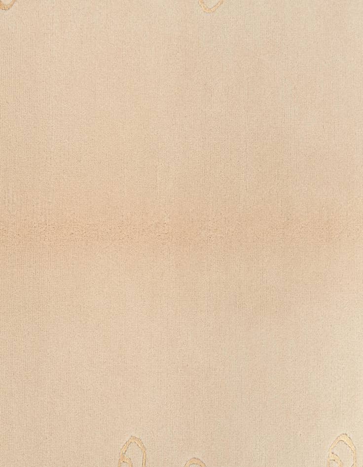 Detail image of  3' 11 x 5' 10  Hand Knotted Darya Wool Rug