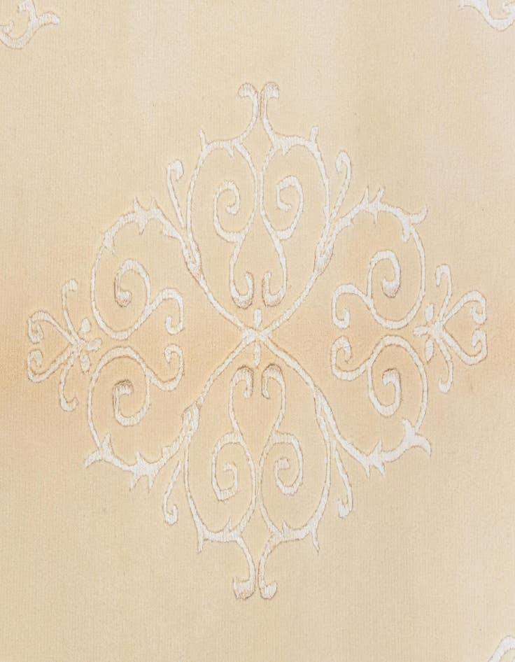 Detail image of  3' 11 x 5' 11  Hand Knotted Darya Wool Rug