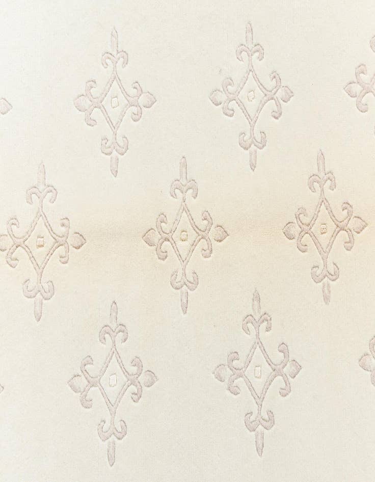 Detail image of  3' 11 x 6' 3 Darya Rug