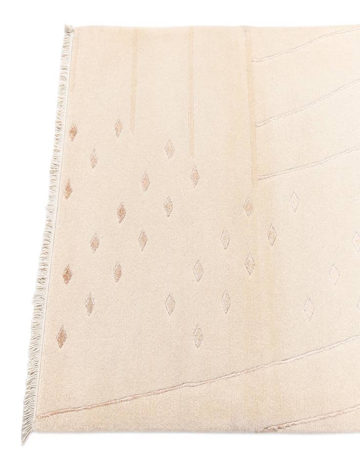 Detail image of  2' 8 x 9' 8 Darya Runner Rug