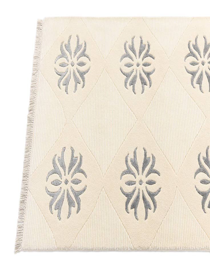 Detail image of  2' 7 x 13' 4 Darya Runner Rug