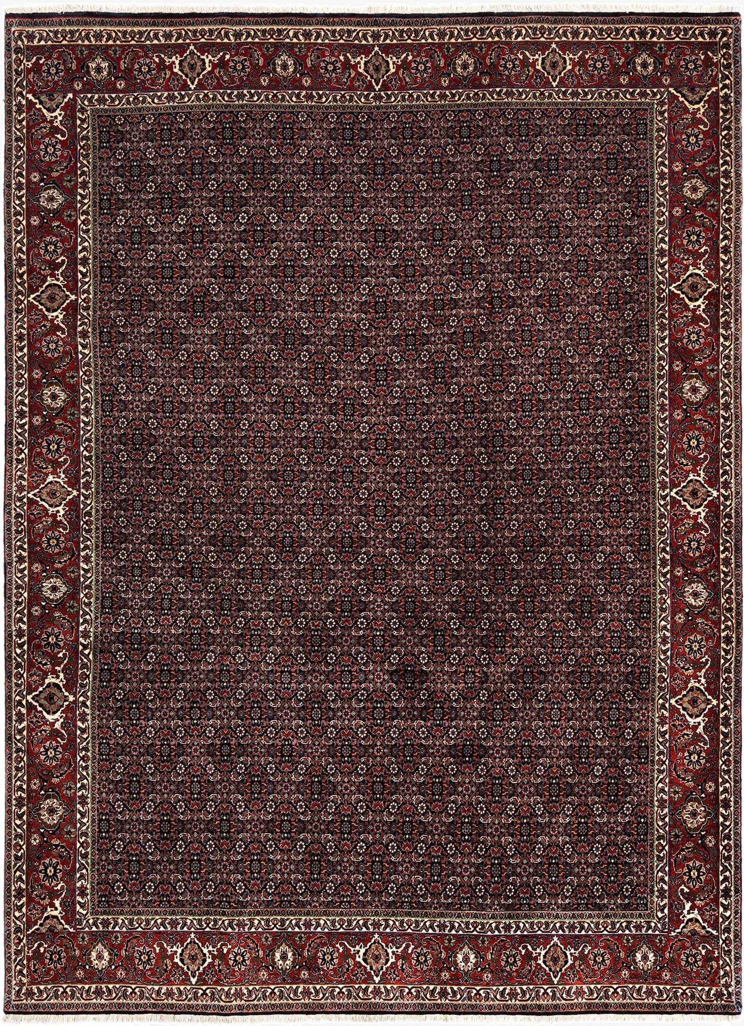  8' 2 x 11' 2 Bidjar Wool Rug