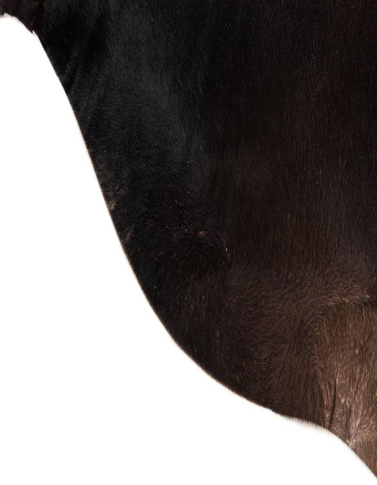 Detail image of  5' 11 x 6' 8 Cowhide Leather Freeform Rug