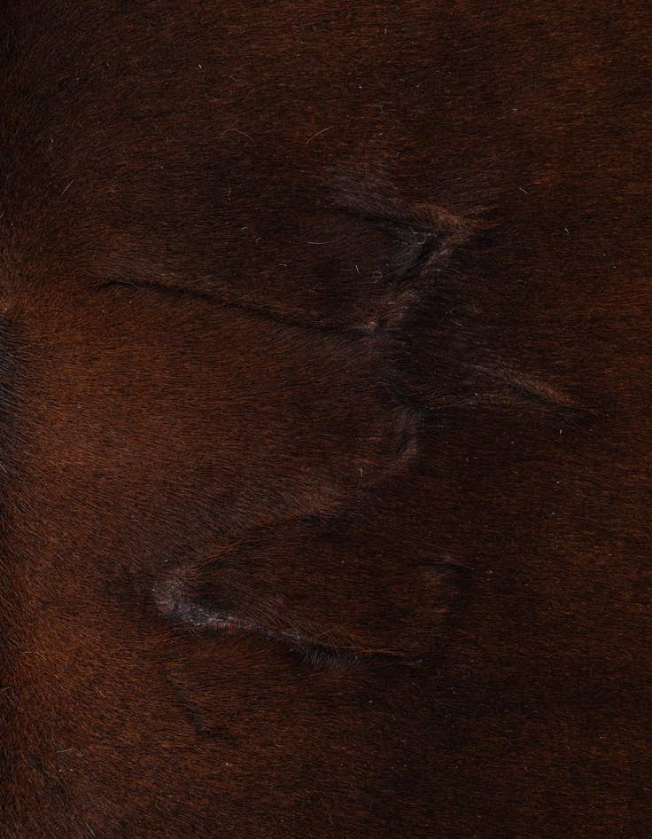 Detail image of  5' 11 x 6' 8 Cowhide Leather Freeform Rug