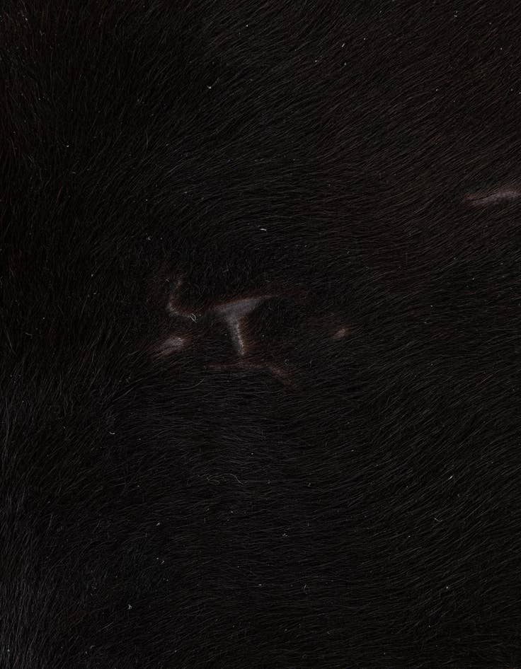 Detail image of  5' 7 x 6' 7 Cowhide Leather Freeform Rug
