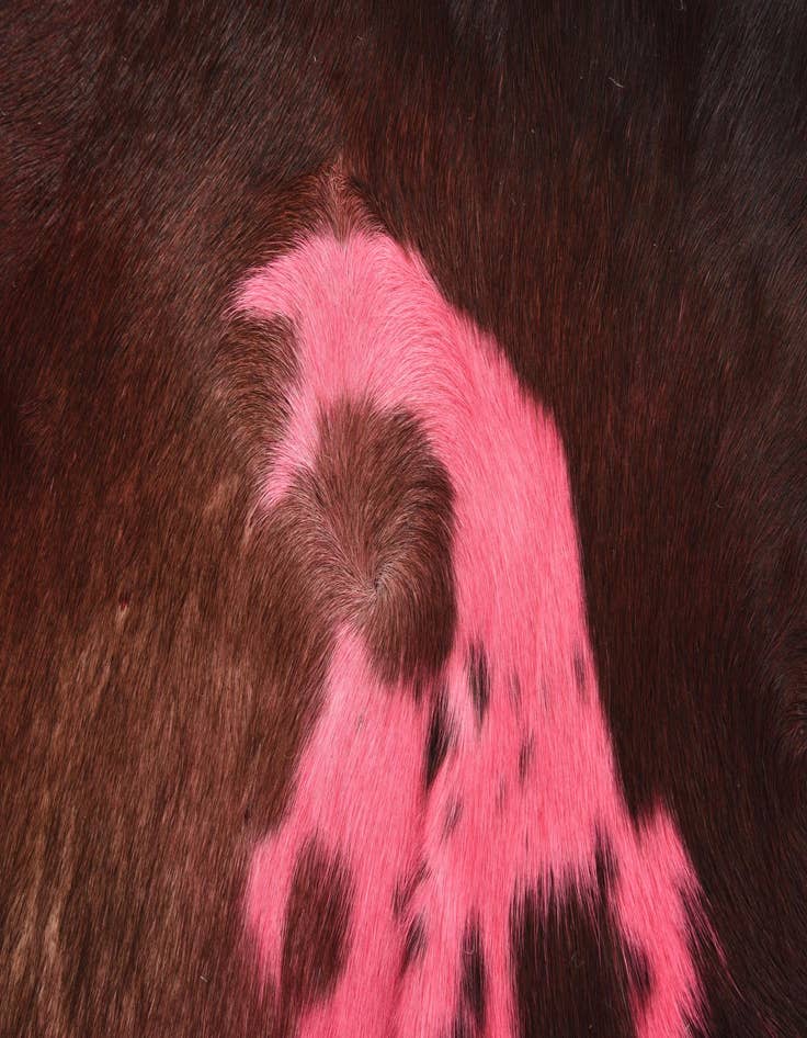 Detail image of  4' x 4' 10 Cowhide Freeform Rug