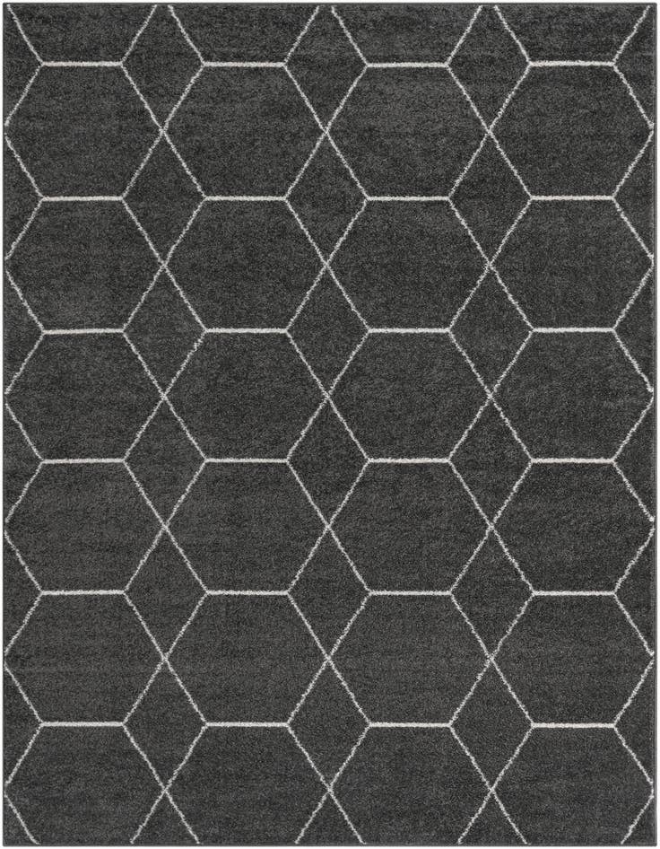 Detail image of  9' x 12' Lattice Frieze Rug