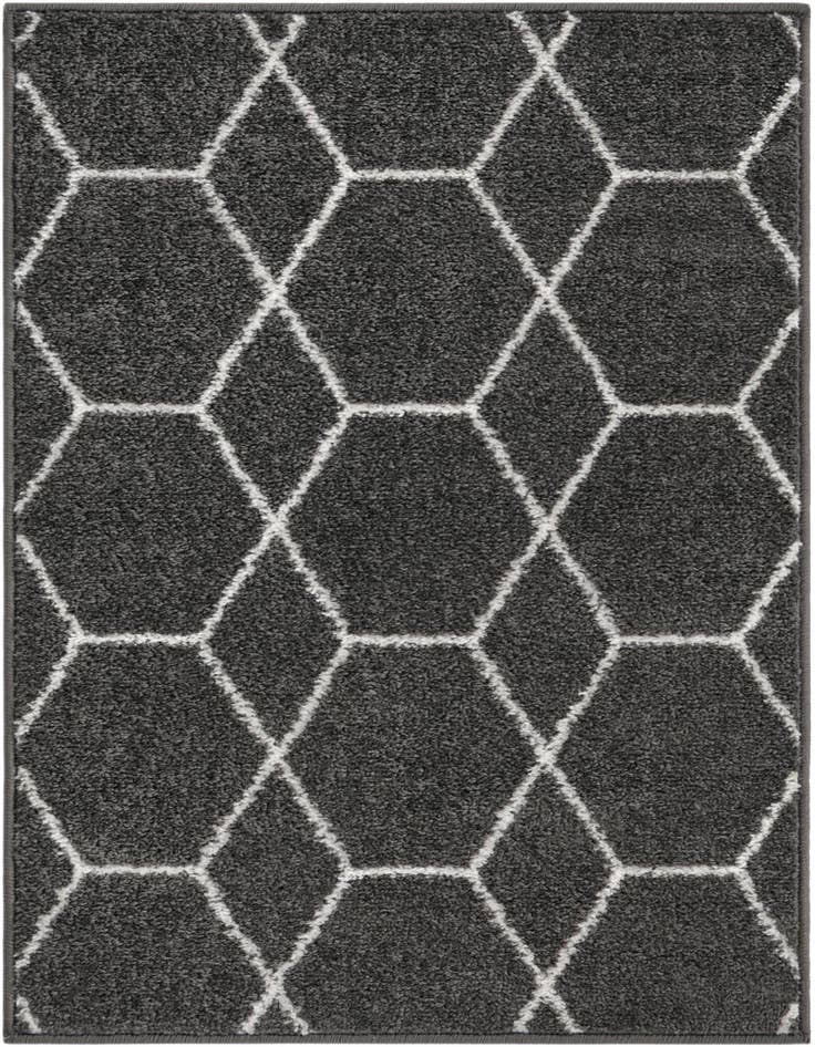 Detail image of  2' x 3' Lattice Frieze Rug