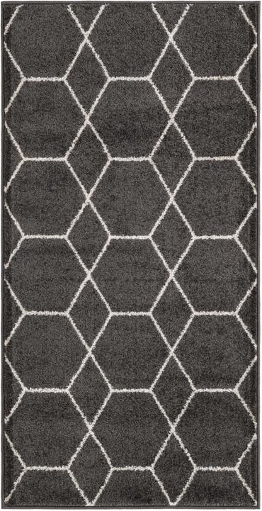  2' 8 x 5' 3 Lattice Frieze Rug