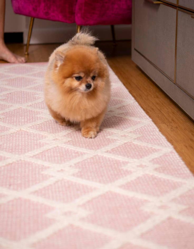 Detail image of  2' 7 x 10'  Hand Knotted Jill Zarin Dorset Runner Rug