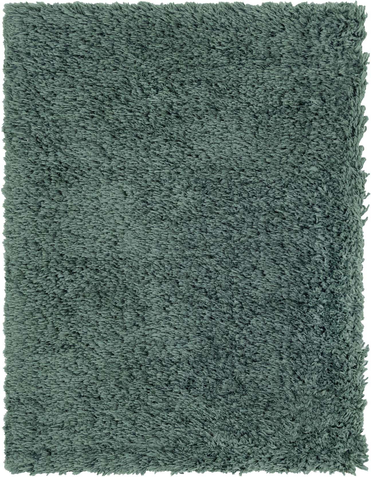 A soft, rectangular 3x5 green shag rug with a textured pile, ideal for adding comfort to any indoor space.