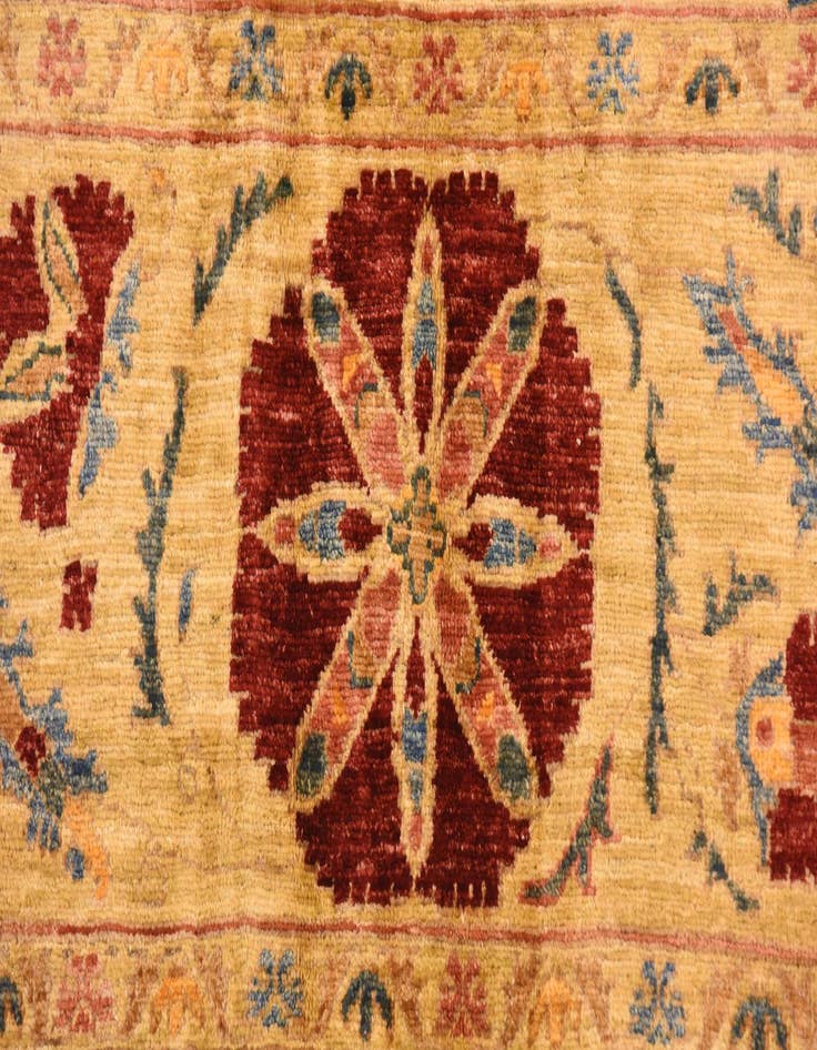 Detail image of  5' 3 x 7' 10  Hand Knotted Ariana Ziegler Oriental Rug