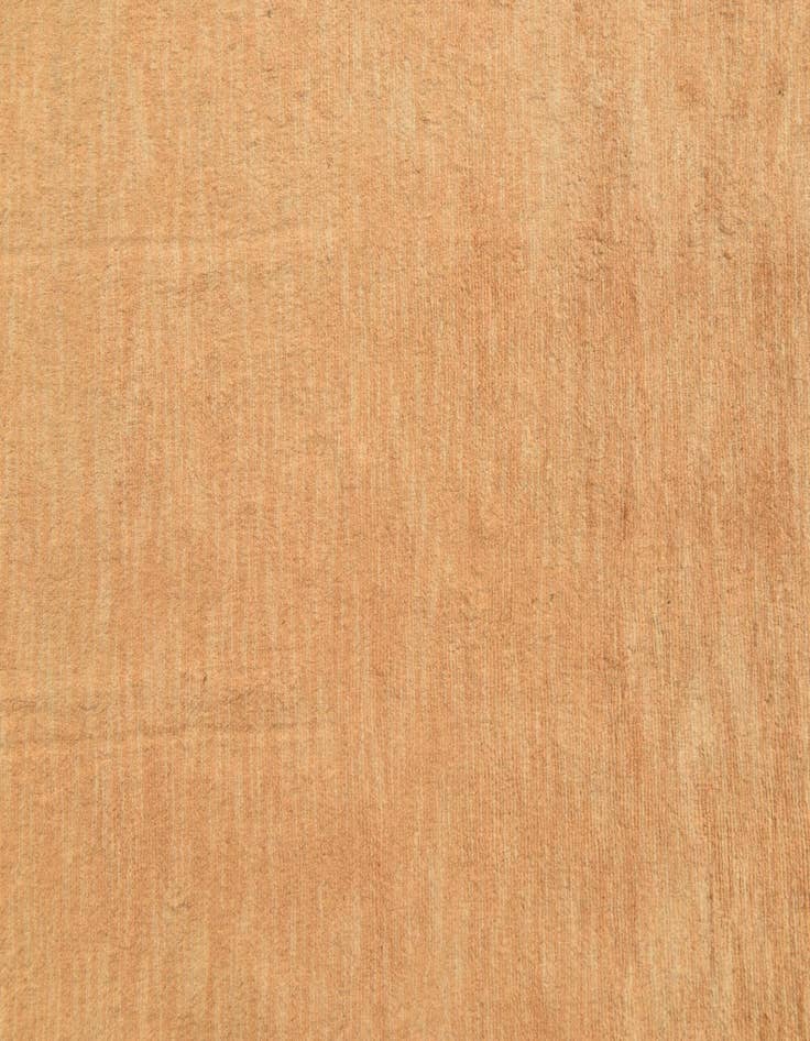 Detail image of  3' 3 x 5'  Hand Knotted Kashkuli Gabbeh Oriental Wool Rug