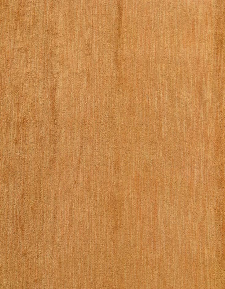 Detail image of  3' 2 x 5' 3  Hand Knotted Kashkuli Gabbeh Oriental Wool Rug