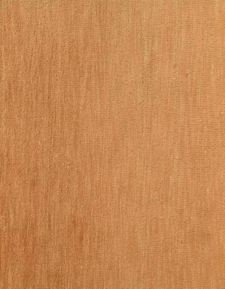 Detail image of  3' 2 x 5' 2  Hand Knotted Kashkuli Gabbeh Oriental Wool Rug