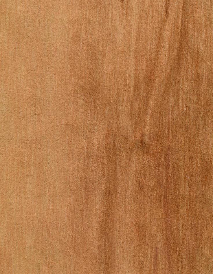 Detail image of  2' 8 x 4' 1  Hand Knotted Kashkuli Gabbeh Oriental Wool Rug