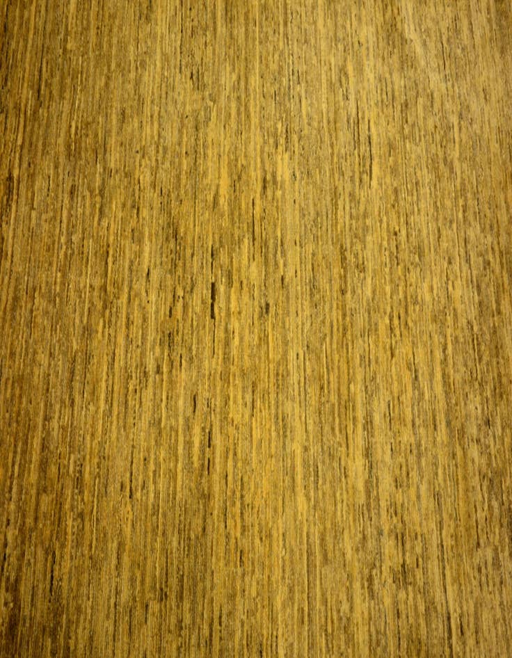 Detail image of  3' 11 x 5' 10  Hand Knotted Modern Ziegler Oriental Rug