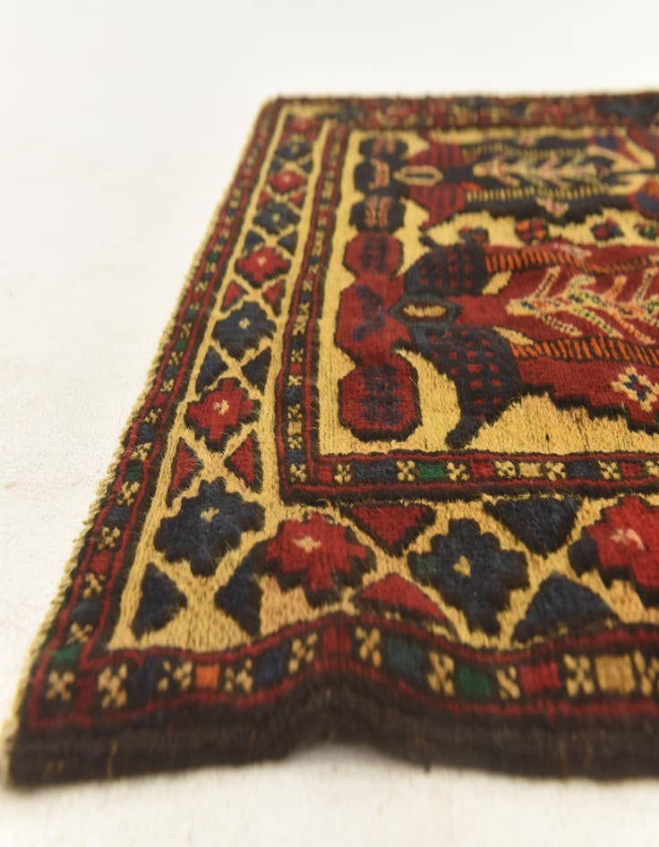 Detail image of  2' 8 x 4' 11  Hand Knotted Sumak Wool Rug