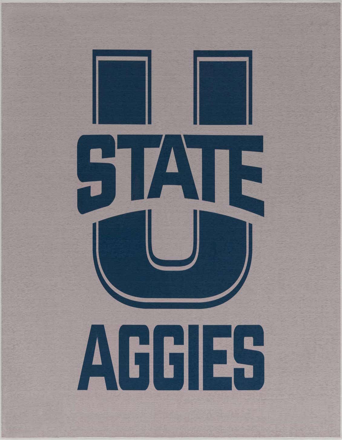 Primary image  5' x 7' College Collection Rug