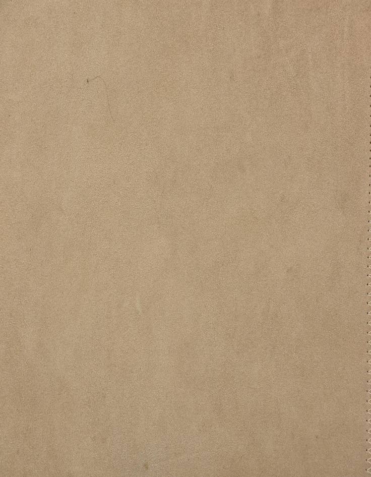 Detail image of  2' x 3' Cowhide Leather Rug