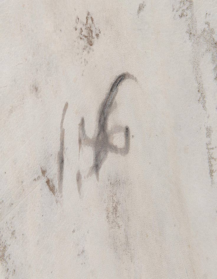 Detail image of  5' 9 x 6' 3 Cowhide Leather Rug