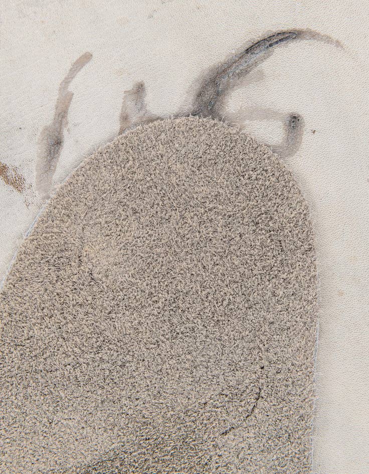 Detail image of  5' 9 x 6' 3 Cowhide Leather Rug