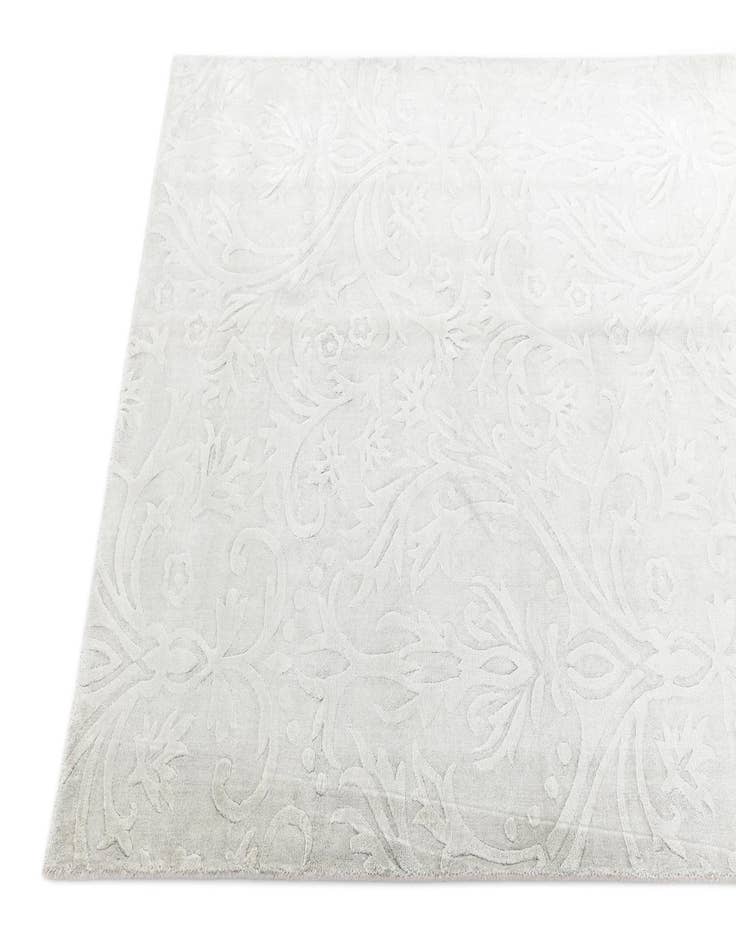 Detail image of  4' 3 x 6' 2 Darya Rug