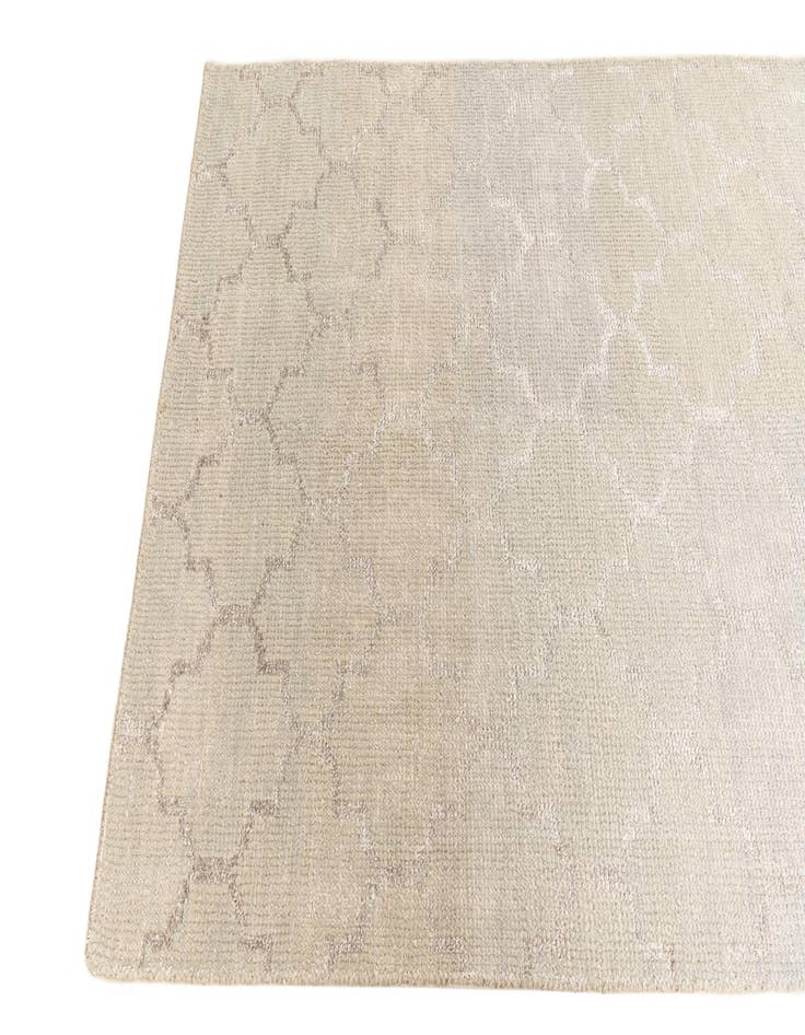 Detail image of  4' x 6'  Hand Knotted Darya Rug